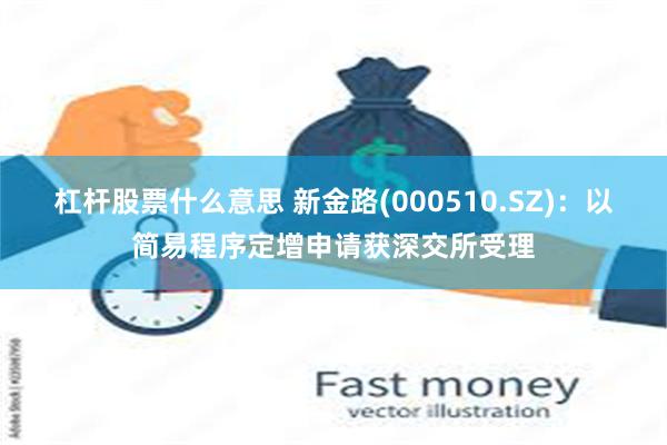 杠杆股票什么意思 新金路(000510.SZ)：以简易程序定增申请获深交所受理