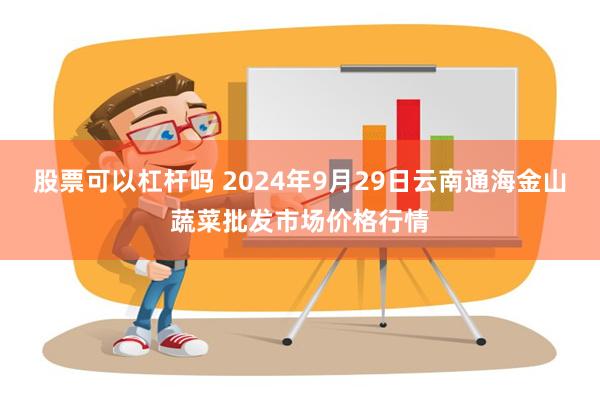 股票可以杠杆吗 2024年9月29日云南通海金山蔬菜批发市场价格行情