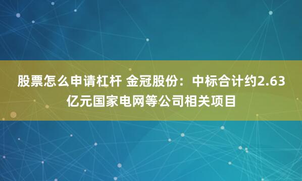 股票怎么申请杠杆 金冠股份：中标合计约2.63亿元国家电网等公司相关项目