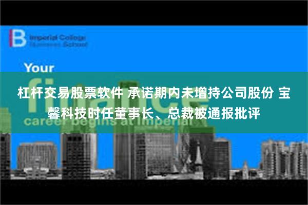 杠杆交易股票软件 承诺期内未增持公司股份 宝馨科技时任董事长、总裁被通报批评