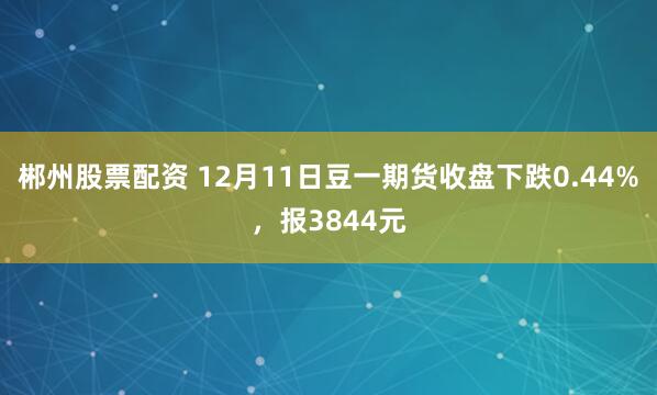 郴州股票配资 12月11日豆一期货收盘下跌0.44%，报3844元