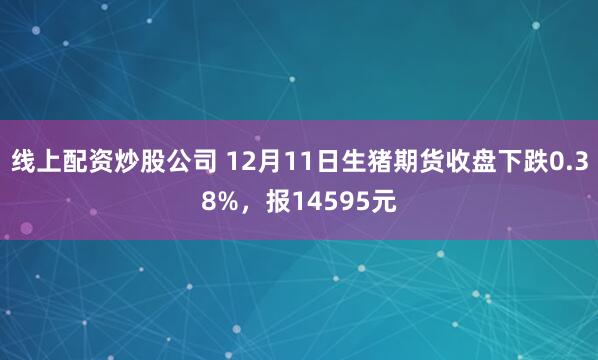 线上配资炒股公司 12月11日生猪期货收盘下跌0.38%，报14595元