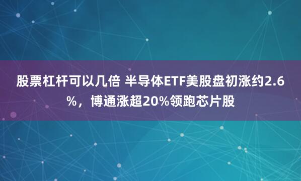 股票杠杆可以几倍 半导体ETF美股盘初涨约2.6%，博通涨超20%领跑芯片股