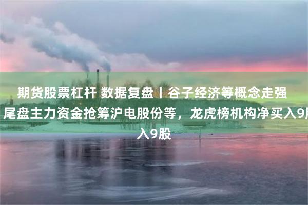 期货股票杠杆 数据复盘丨谷子经济等概念走强 ，尾盘主力资金抢筹沪电股份等，龙虎榜机构净买入9股