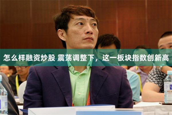 怎么样融资炒股 震荡调整下，这一板块指数创新高