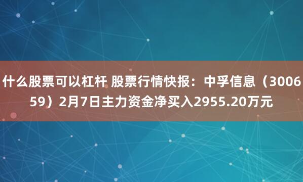 什么股票可以杠杆 股票行情快报：中孚信息（300659）2月7日主力资金净买入2955.20万元