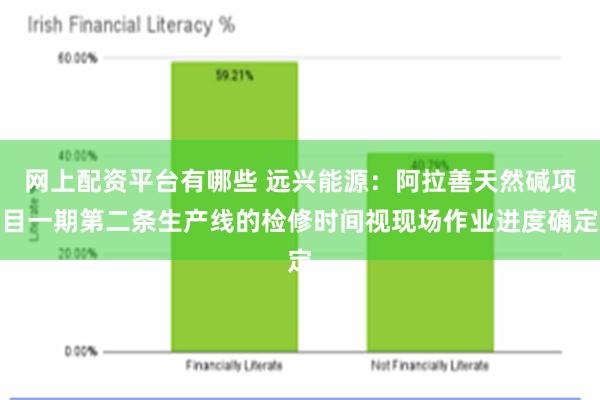 网上配资平台有哪些 远兴能源：阿拉善天然碱项目一期第二条生产线的检修时间视现场作业进度确定