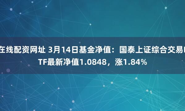 在线配资网址 3月14日基金净值：国泰上证综合交易ETF最新净值1.0848，涨1.84%