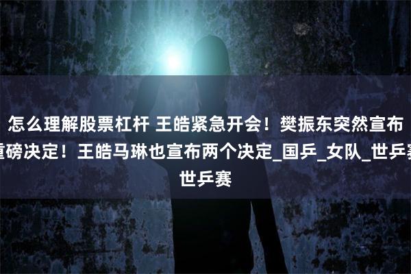 怎么理解股票杠杆 王皓紧急开会！樊振东突然宣布重磅决定！王皓马琳也宣布两个决定_国乒_女队_世乒赛