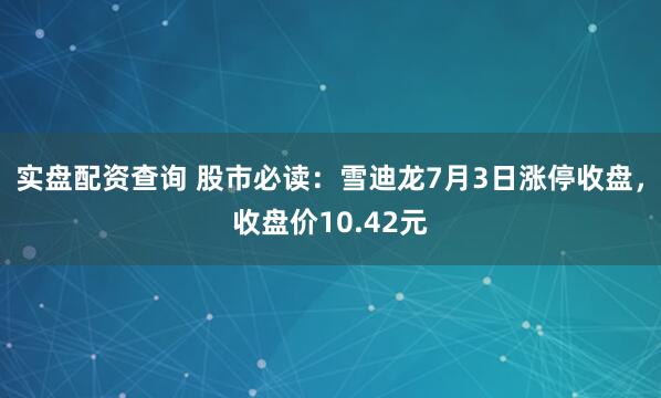 实盘配资查询 股市必读：雪迪龙7月3日涨停收盘，收盘价10.42元