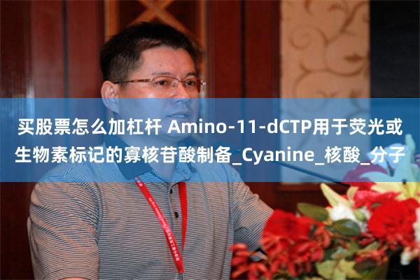 买股票怎么加杠杆 Amino-11-dCTP用于荧光或生物素标记的寡核苷酸制备_Cyanine_核酸_分子